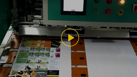 Automated Ultrasonic Welding System (for Card Production), WT-007DWJ